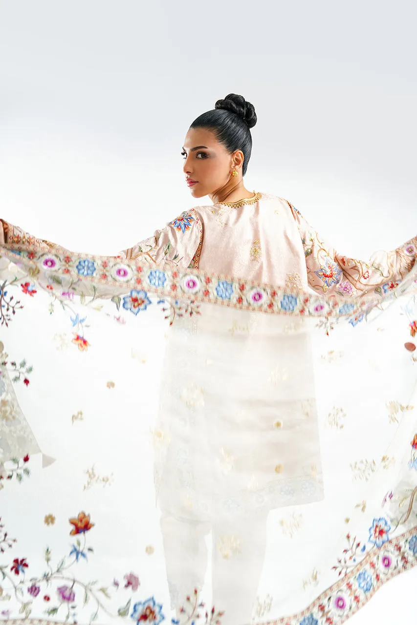 Inaya Festive '24 - Syris